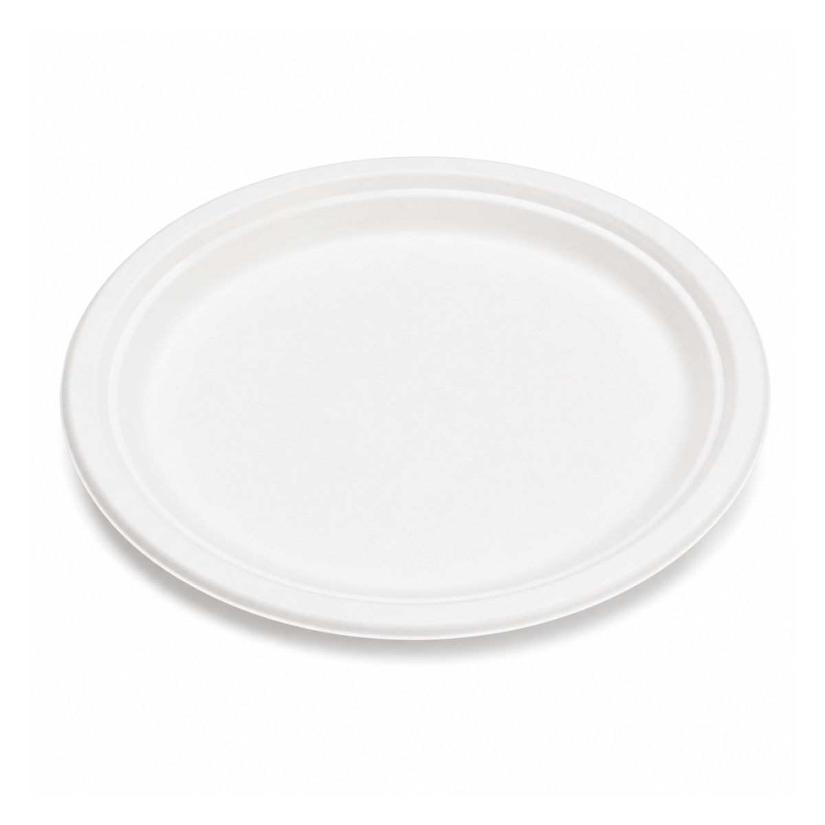 Assiette ovale en bagasse 10"x12.5" 500/CS