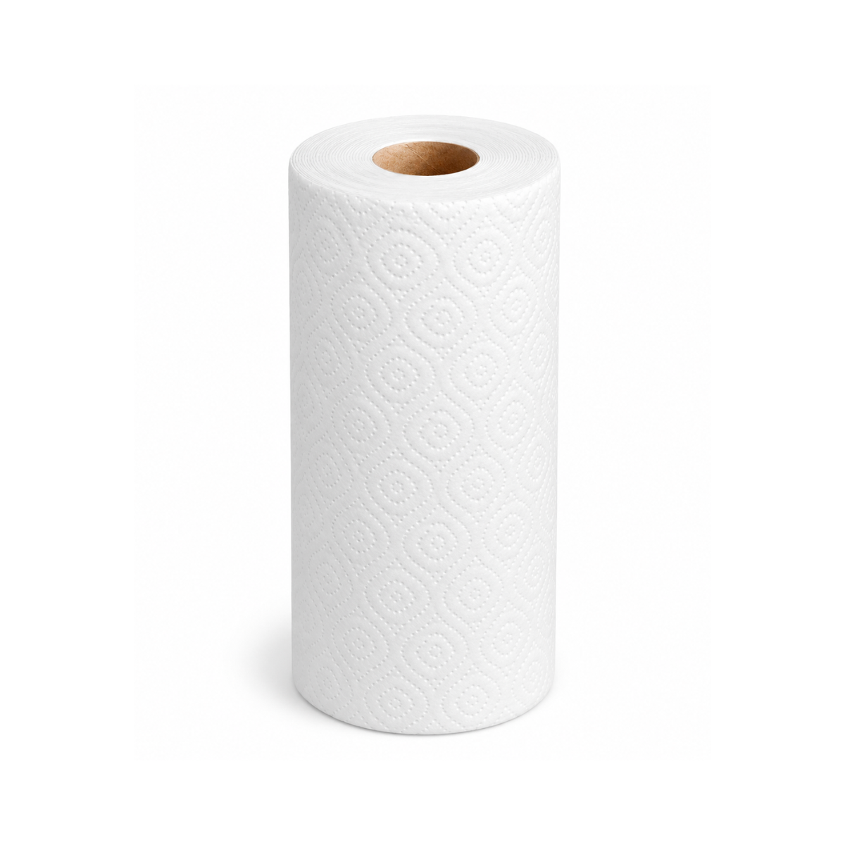 Essuie-Tout 150F 10.7 Pouces X 6.3 Pouces - 24RLX/Caisse
