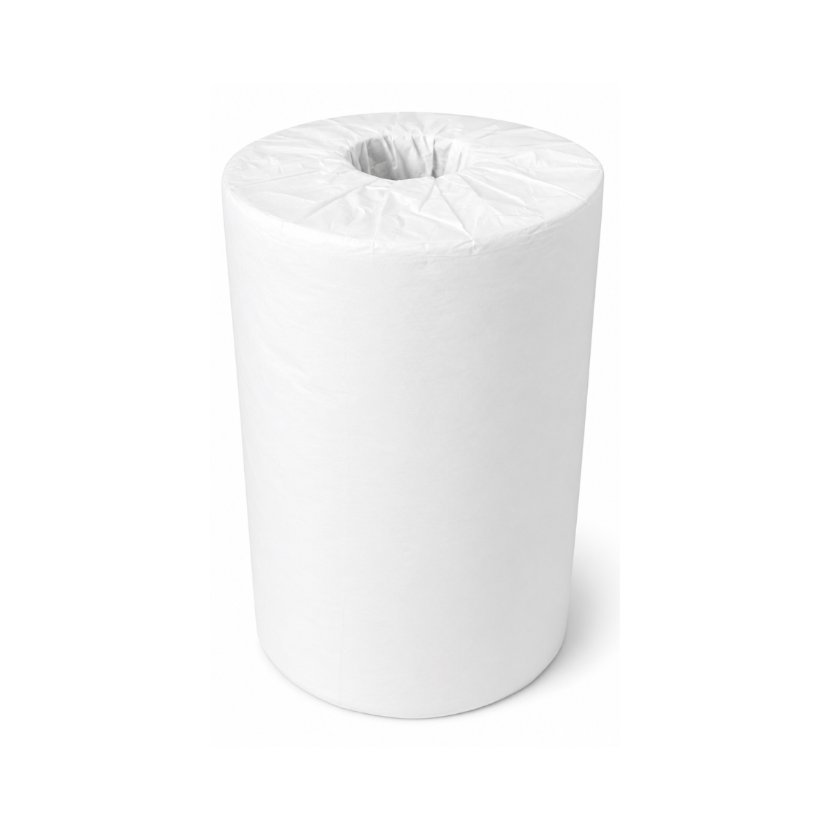 Essuie-Tout 160F 2 Plis - 12 Rouleaux/Caisse