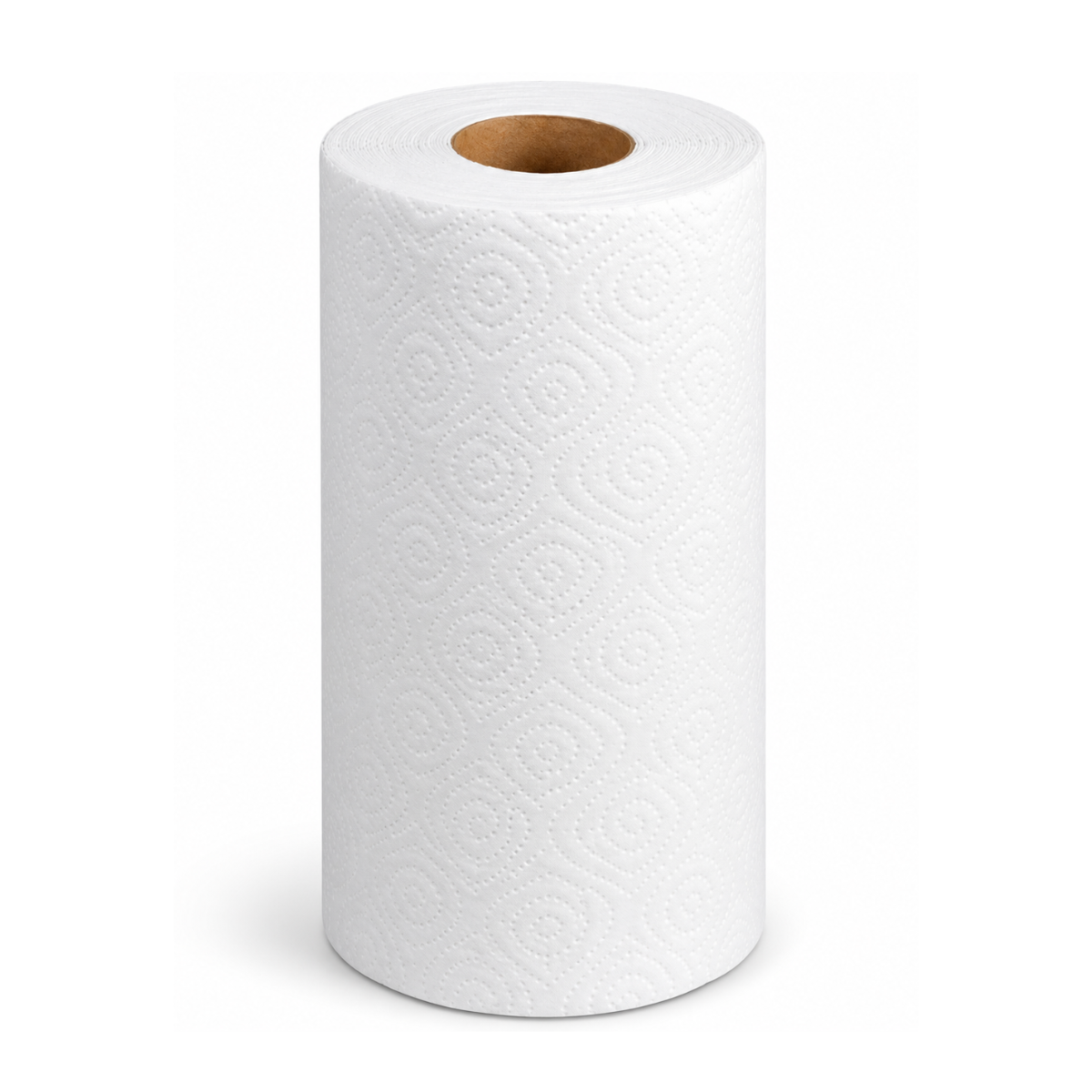 Essuie-Tout 2 Plis - 12 Rouleaux de 210 Feuilles/Caisse