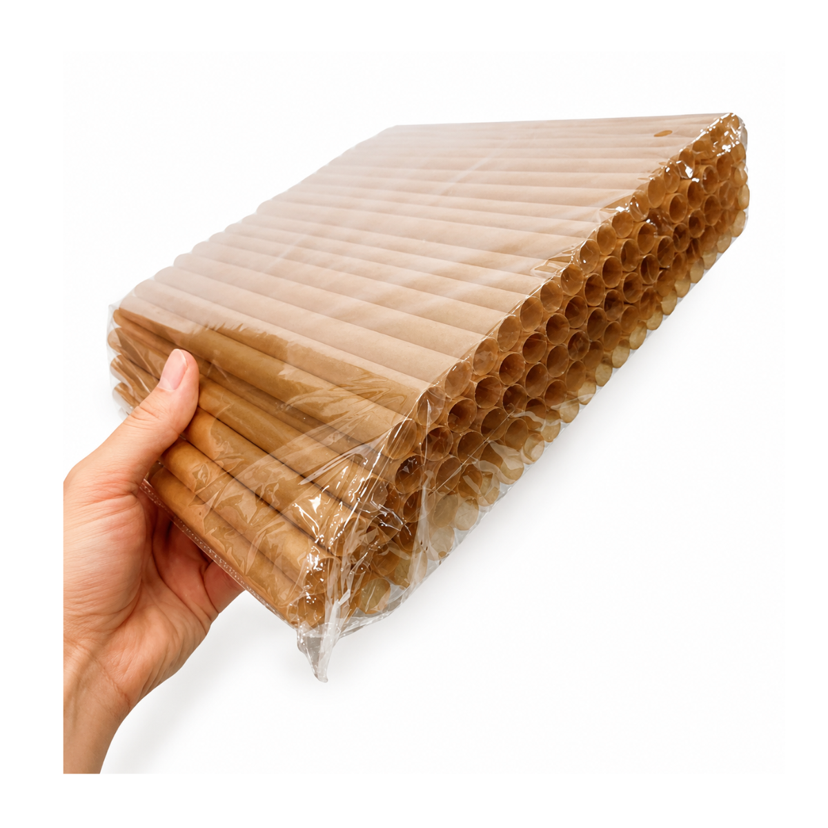 Paille bagasse 12MM 100/PQT