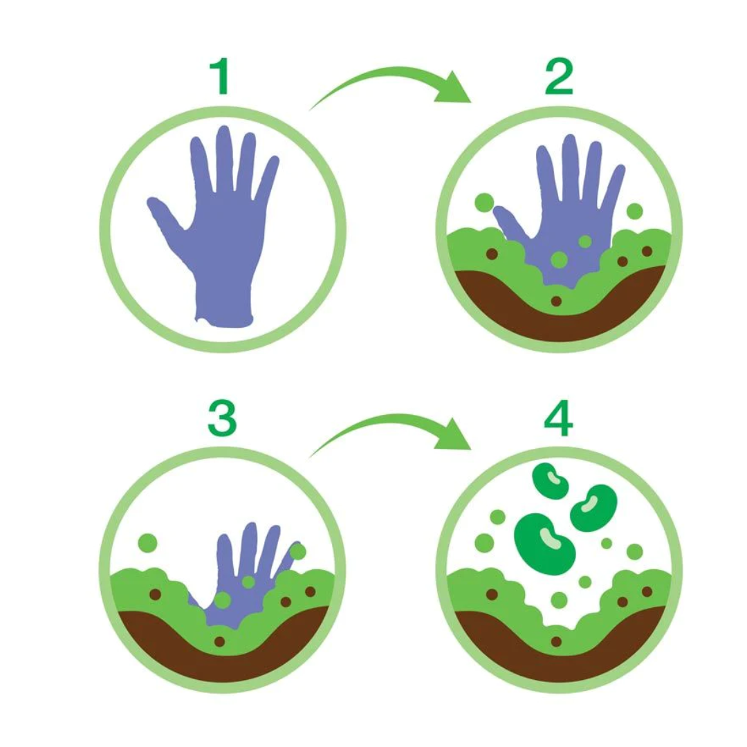 Gants de nitrile mauves Biodégradables 10 X 100 gants LIVRAISON GRATUITE