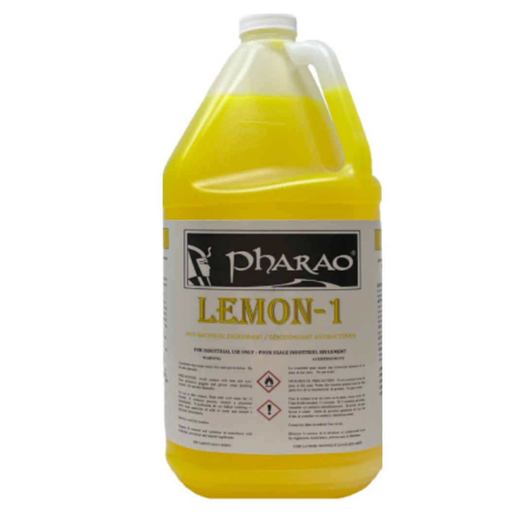Désodorisant antibactérien 4L