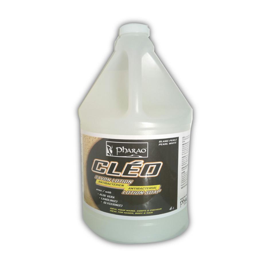 Savon à mains blanc antibactérien *CAISSE 4X4L - sanichoix