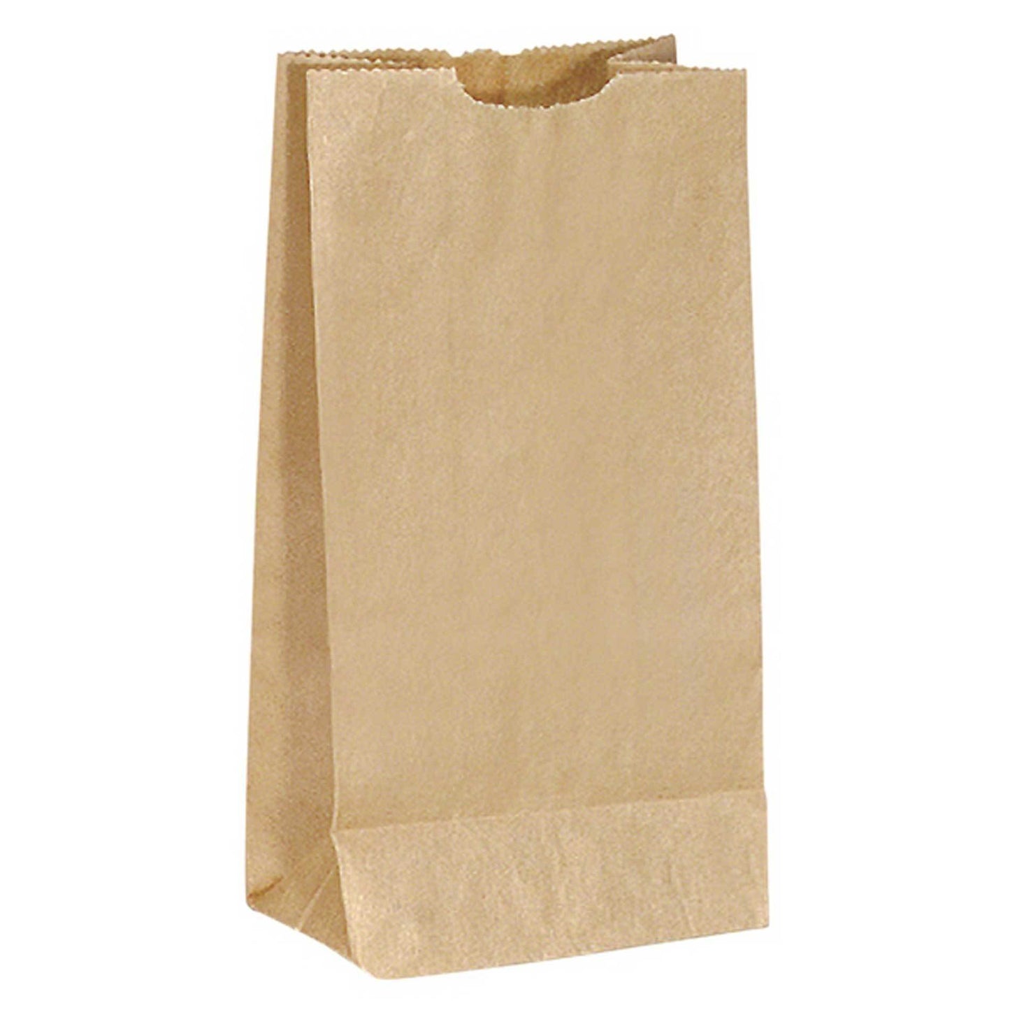Sac Papier brun 20LBS - sanichoix