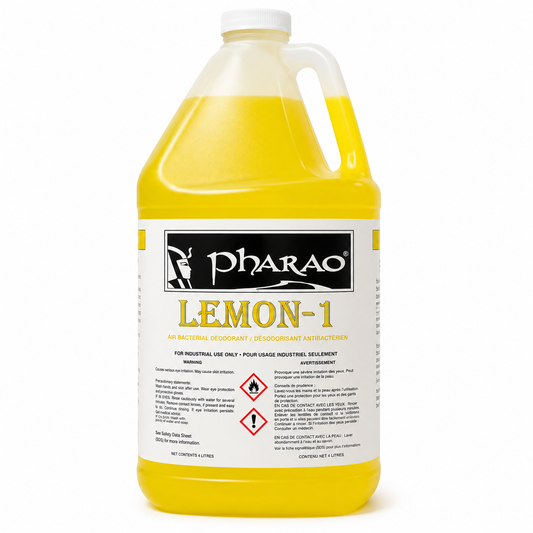 Désodorisant antibactérien 4L