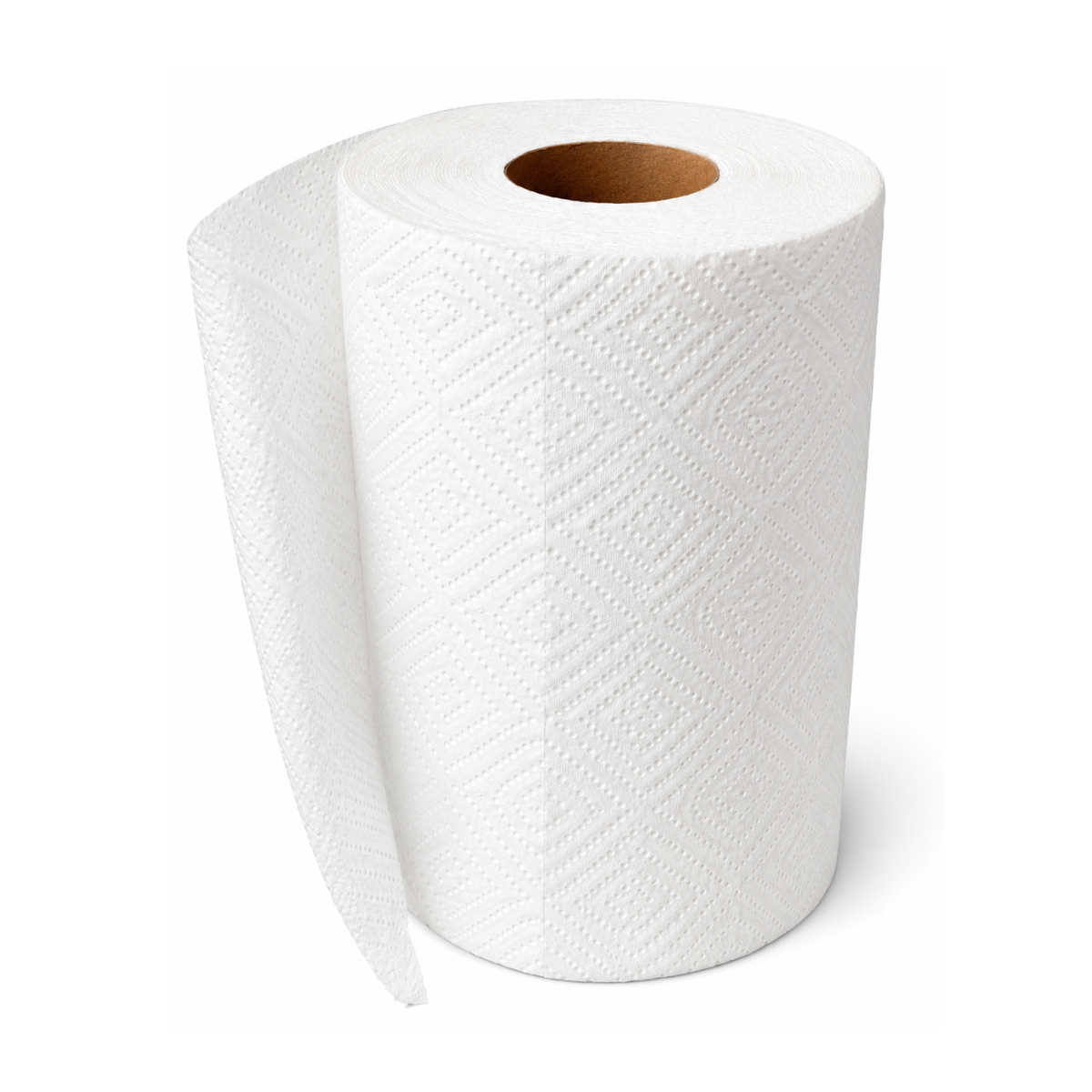 Essuie-Tout 160F 2 Plis - 12 Rouleaux/Caisse
