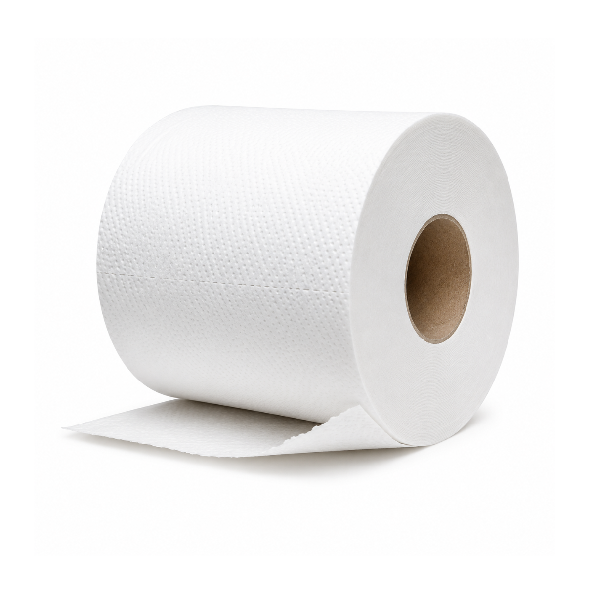 Papier hygiénique 48 rouleaux 2 plis 500 feuilles/rouleau