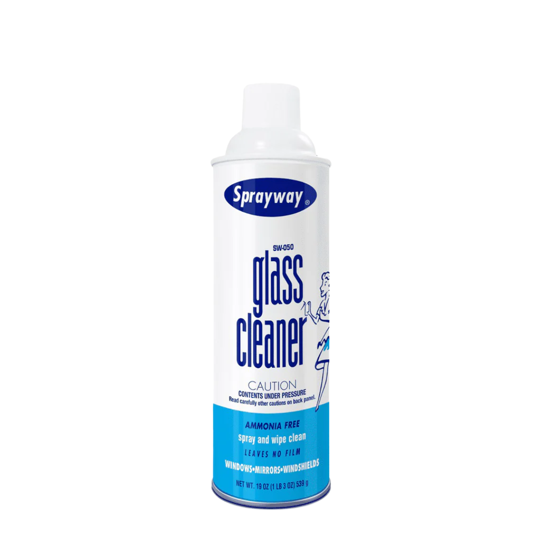 Nettoyeur à vitres en aérosol 539 GR